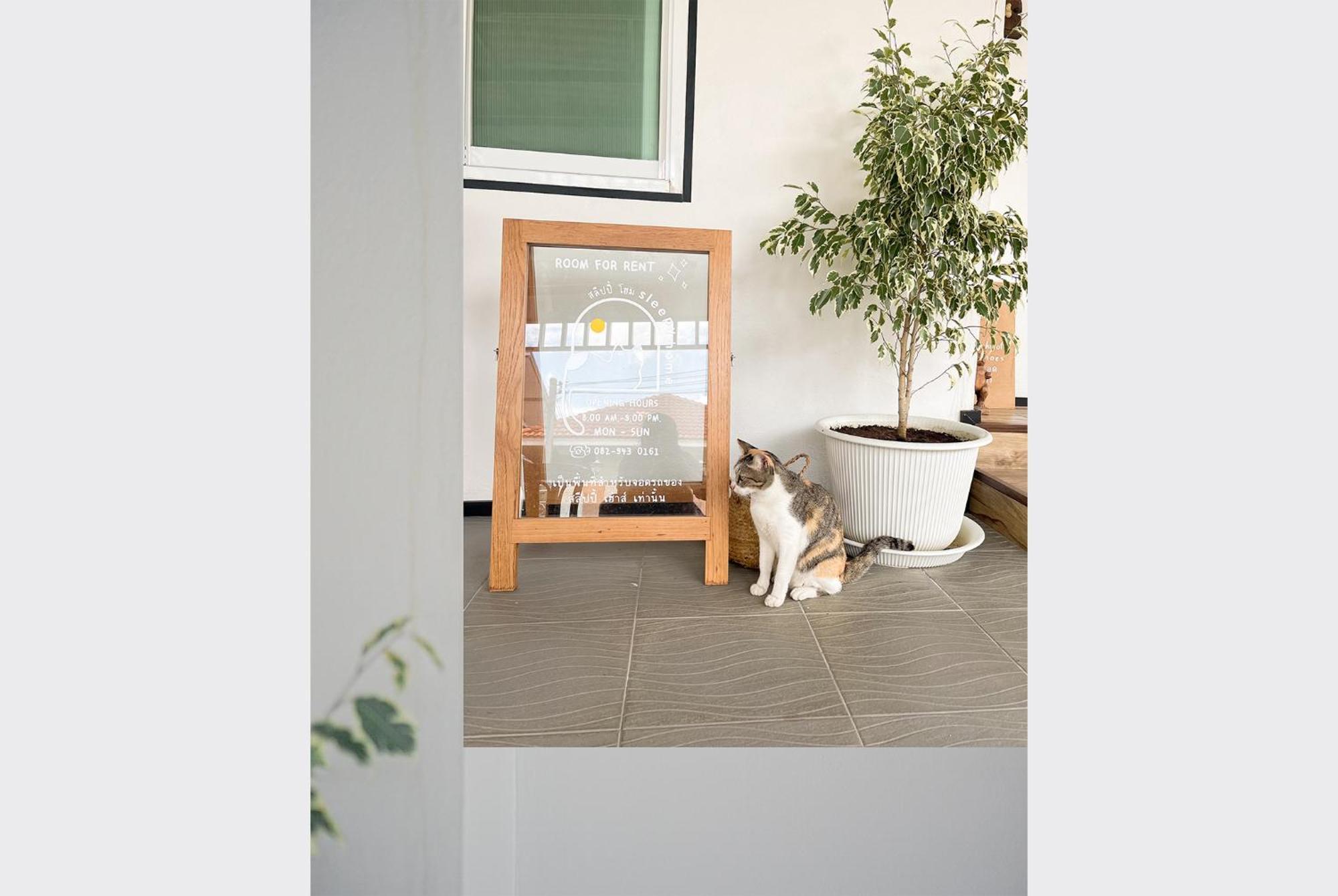 Sleepy House Chiang Rai住宿加早餐旅馆 外观 照片