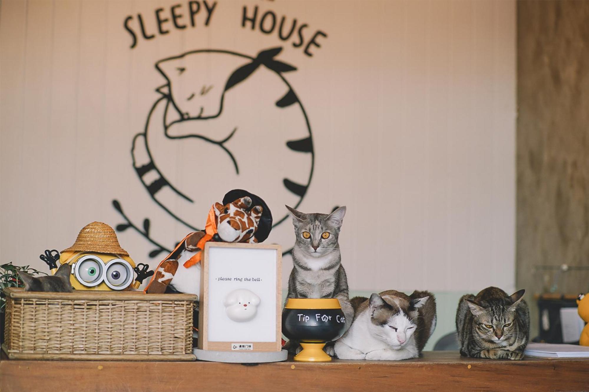 Sleepy House Chiang Rai住宿加早餐旅馆 外观 照片