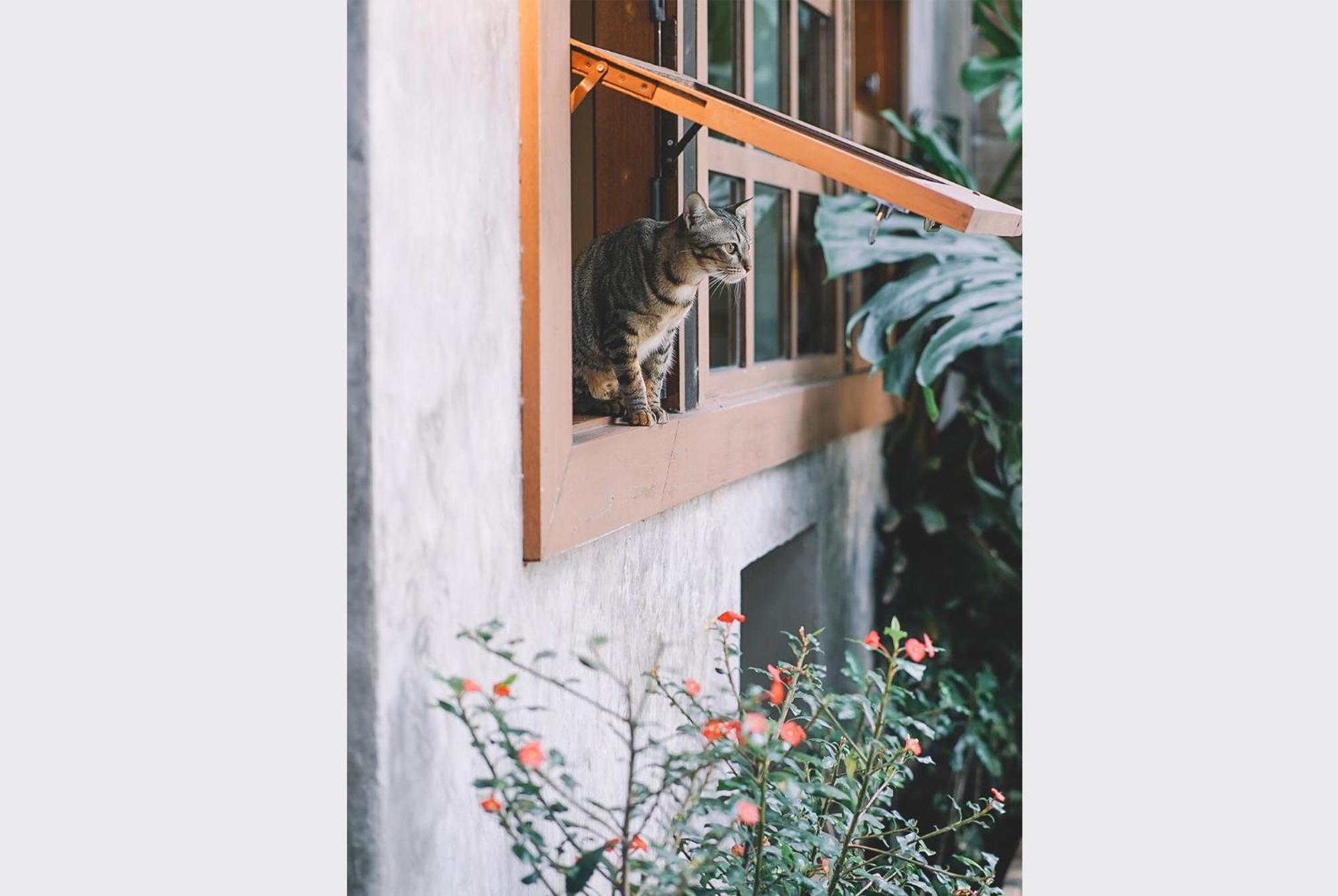 Sleepy House Chiang Rai住宿加早餐旅馆 外观 照片