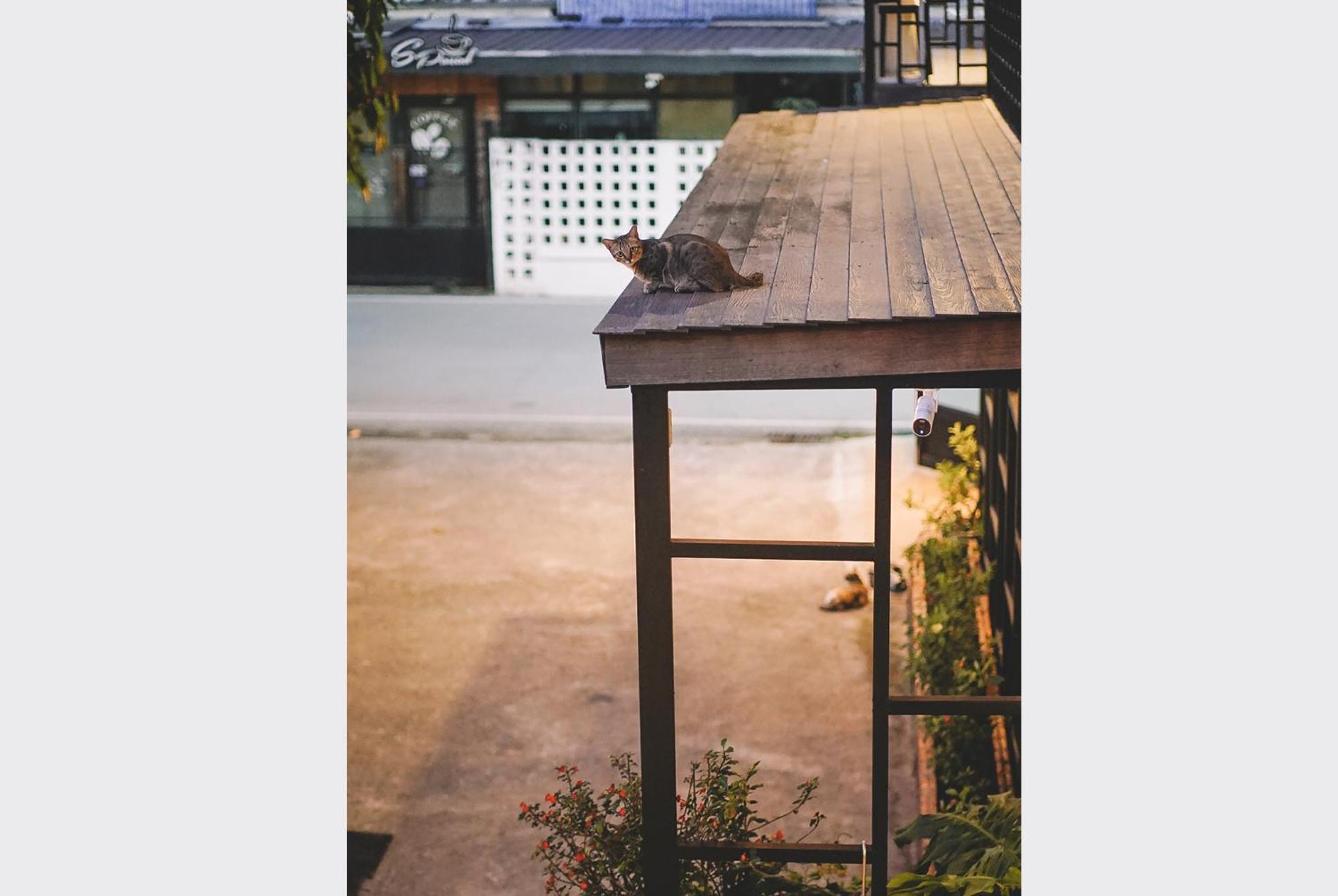 Sleepy House Chiang Rai住宿加早餐旅馆 外观 照片
